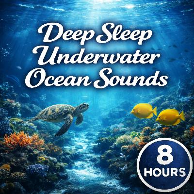 Submerged Midnight Currents Submerged Midnight Currents