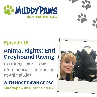 Animal Rights: End Greyhound Racing