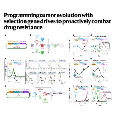 300-Selection Gene Drives Combat Tumor Drug Resistance 300-Selection Gene Drives Combat Tumor Drug Resistance