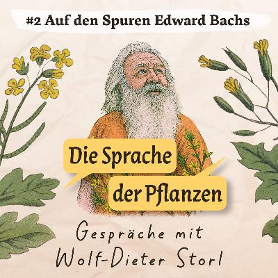 #2 Blüten für die Seele: Auf den Spuren Edward Bachs und der Kelten