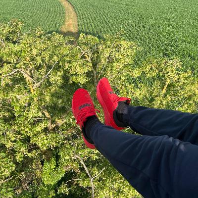 3. 08. J'ai vloté au-dessus du Monde et toucher la cime d'un arbre avec mon pied