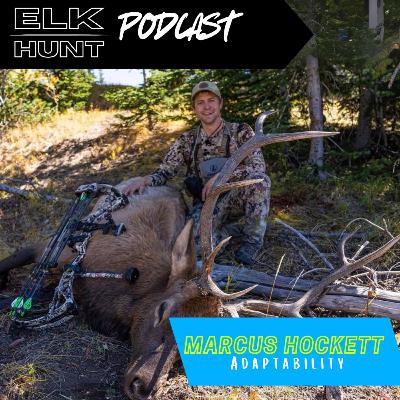 Adaptability: The Secret to Consistent Elk Hunts