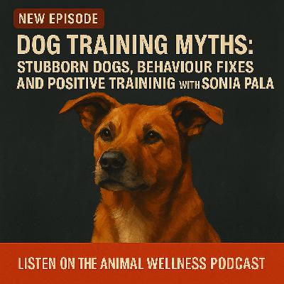 Dog Training Myths: Stubborn Dogs, Behaviour Fixes, and Positive Training with Sonia Pala