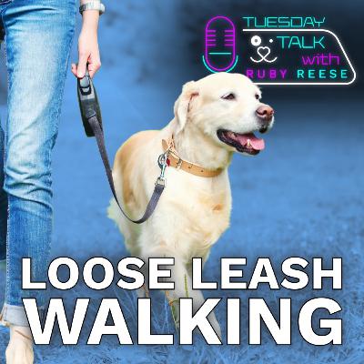 Loose Leash Dog Walking