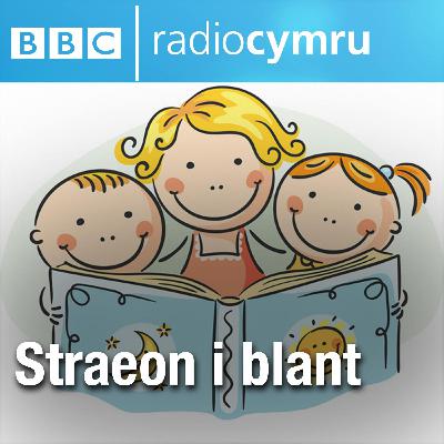 i blant: Y Gwyfyn Llwyd