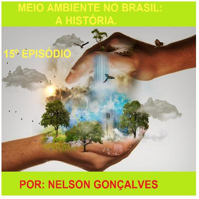MEIO AMBIENTE NO BRASIL: A HISTÓRIA