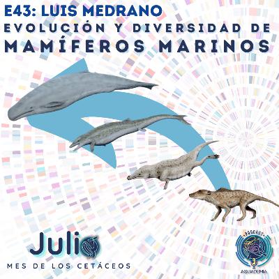 E43: Luis Medrano: Evolución y Diversidad de Mamíferos Marinos E43: Luis Medrano: Evolución y Diversidad de Mamíferos Marinos