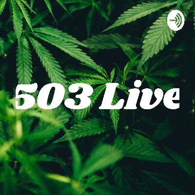 503 Live #2 - with Daniel Cruz Pt. 1&2