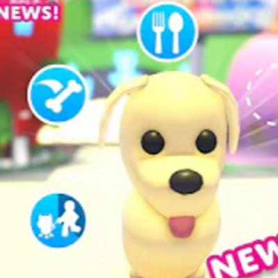 Pet Needs Revamp Update!