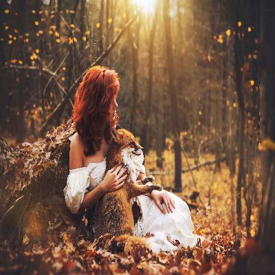 Wildlife Matters: Embracing Nature Through Storytelling This Christmas