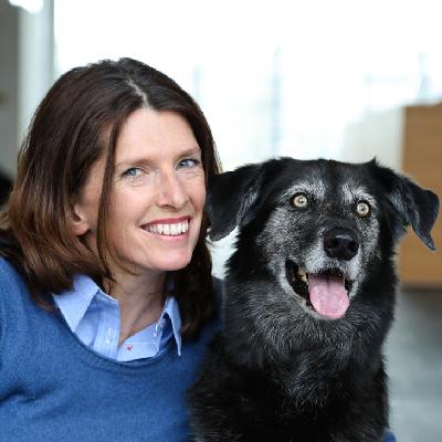 Hundeschule – wenn Argumente alleine nichts nützen. Hundeschule – wenn Argumente alleine nichts nützen.