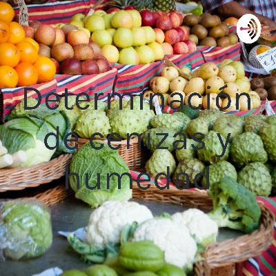 Determinación de Humedad y Cenizas