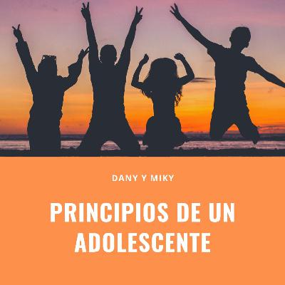 principios de un adolescente principios de un adolescente