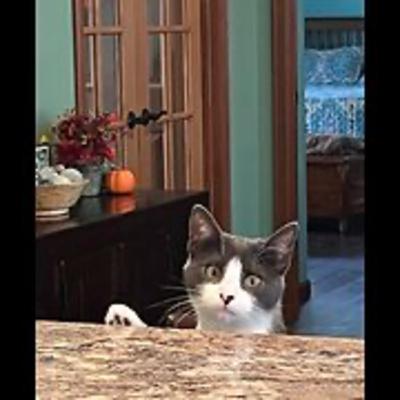 Episode 3019 CWSA 11/15/25