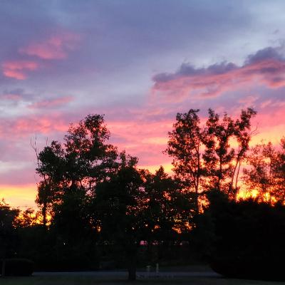 Cam & Shannon preview