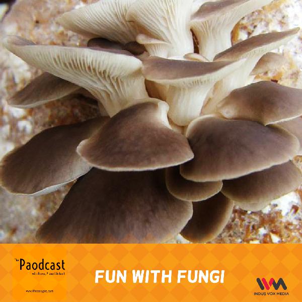 Ep. 95: Fun With Fungi Ep. 95: Fun With Fungi