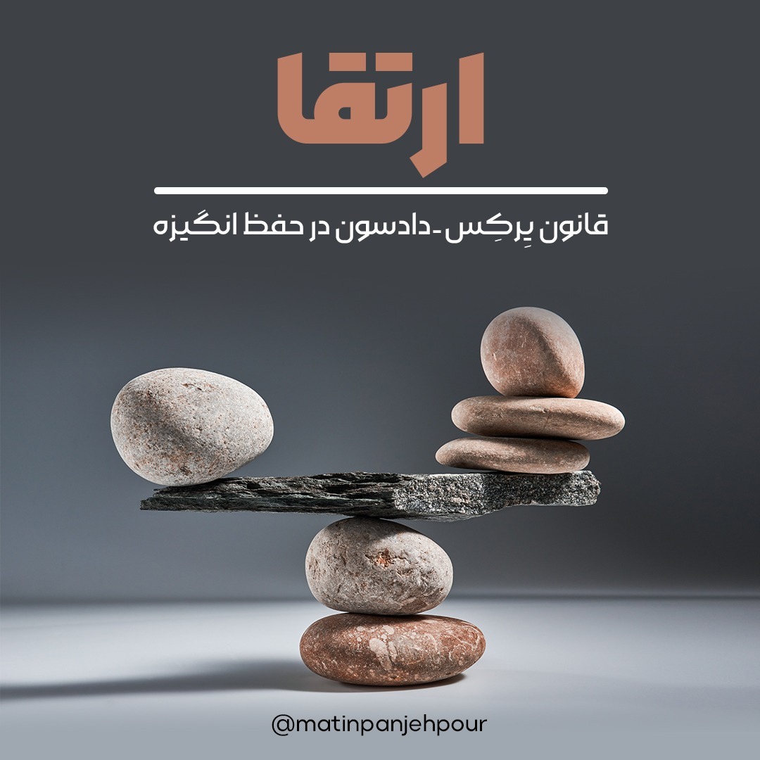 قانون Yerkes Dodson برای حفظ انگیزه