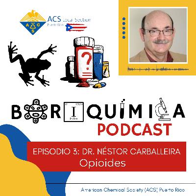 La Crisis de Opioide, Contexto y Desarrollos Recientes