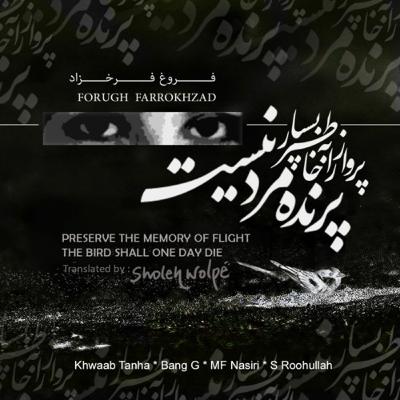 Found in Translation EP#12 - The Bird shall one day die - Forugh Farrokhzad