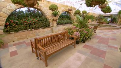 A tour of Hobart’s Botanical Garden