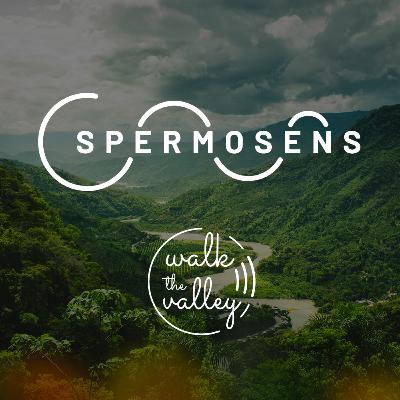 Kush Punyani founder of Spermosense