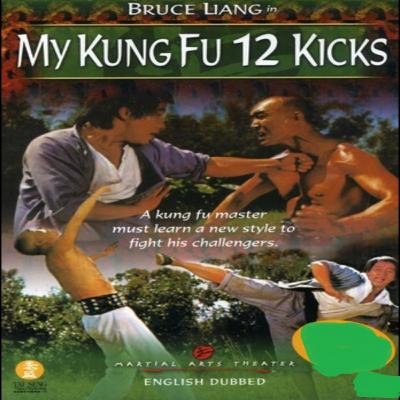 My Kung Fu 12 Kicks (1979) Movie Review
