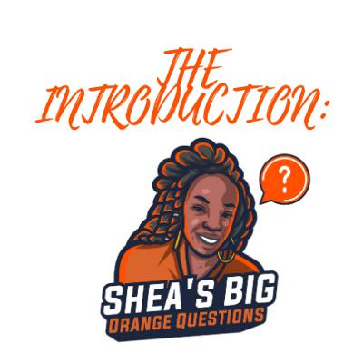 The Introduction: Shea's Big Orange Questions