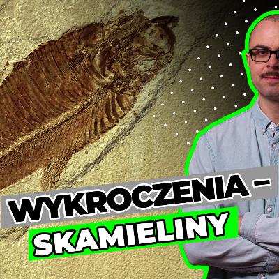 Wykroczenia - skamieliny – Mateusz Wiktorek