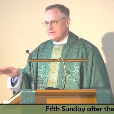 Sermon: Following the call…