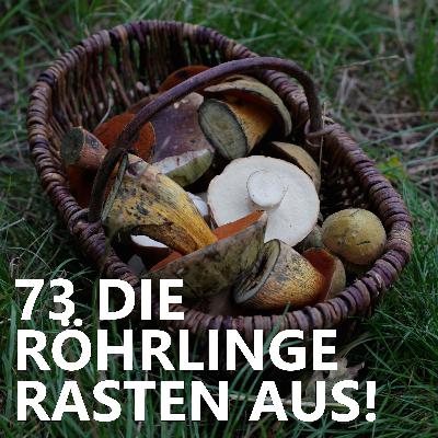 #73 Die Röhrlinge rasten aus!
