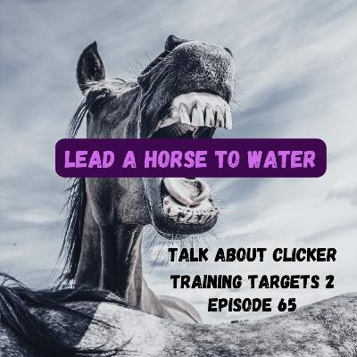 Talk about clicker training targets; plans and blueprints