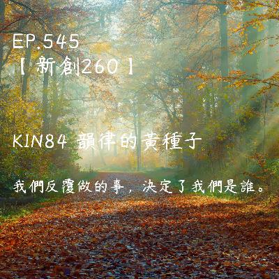 馬雅星球之旅｜EP545－【新創260】-KIN84韻律的黃種子-我們反覆做的事，決定了我們是誰。