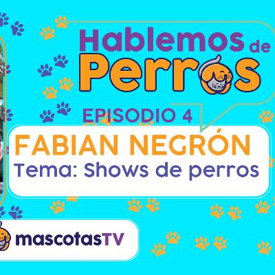 La AKC, los shows de Perros y la Pandemia con Fabian Negrón | Hablemos de Perros EP 4 La AKC, los shows de Perros y la Pandemia con Fabian Negrón | Hablemos de Perros EP 4