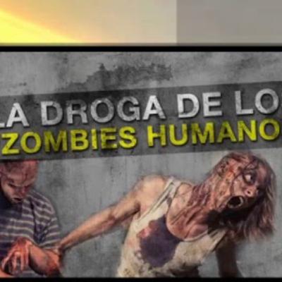 Droga zombie
