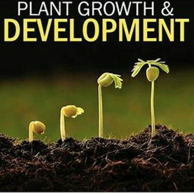(Ncert 11th)Chapter 15: plant growth and development