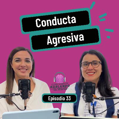 Conducta Agresiva
