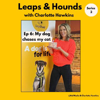 6. Help! My dog chases my cat @leapsandhoundspodcast 6. Help! My dog chases my cat @leapsandhoundspodcast