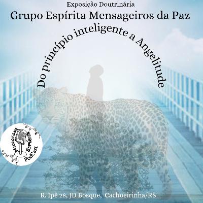 DO PRINCÍPIO INTELIGENTE A ANGELITUDE #91