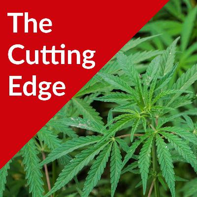 Episode #53: Hemp Research Priorities at UW-Madison with Dr. Shelby Ellison