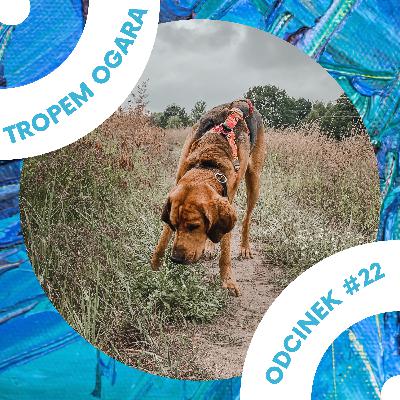 #22 Zapach zbrodni: psi nos w służbie człowieka || AUDIOBOOK