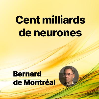 FP007 - Cent milliards de neurones (par Bernard de Montréal)