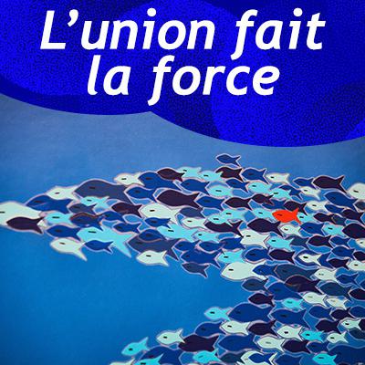 L’union fait la force - Poissons et requin