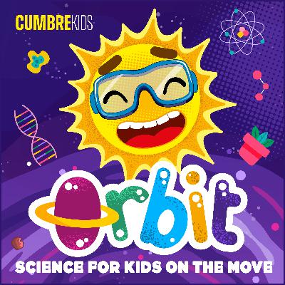 Trailer: Get to know Orbit!