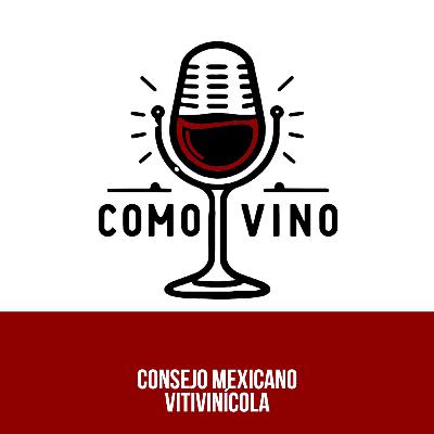 Ep 16) Consejo Mexicano Vinícola