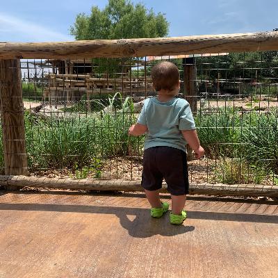 what my week looks like as a SAHM what my week looks like as a SAHM