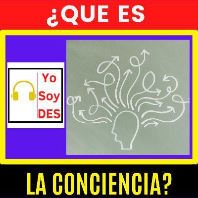 ¿Qué es la Conciencia? ¿Qué es la Conciencia?