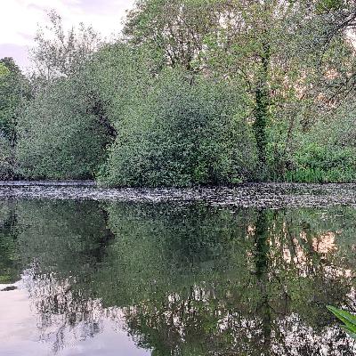 Surface Fishing 011 / Carp Fishing / E195