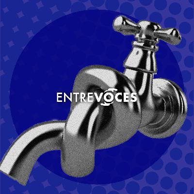 Lo que está en juego con la nueva ley de aguas /Darío González y Francisco Peña