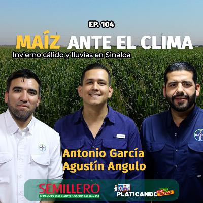 #104 Así se desarrolla el maíz en Sinaloa OI 2025–2026 | Platicando con Dekalb #104 Así se desarrolla el maíz en Sinaloa OI 2025–2026 | Platicando con Dekalb