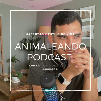 TOP 10 RAZAS de perros ideales para vivir en depas!